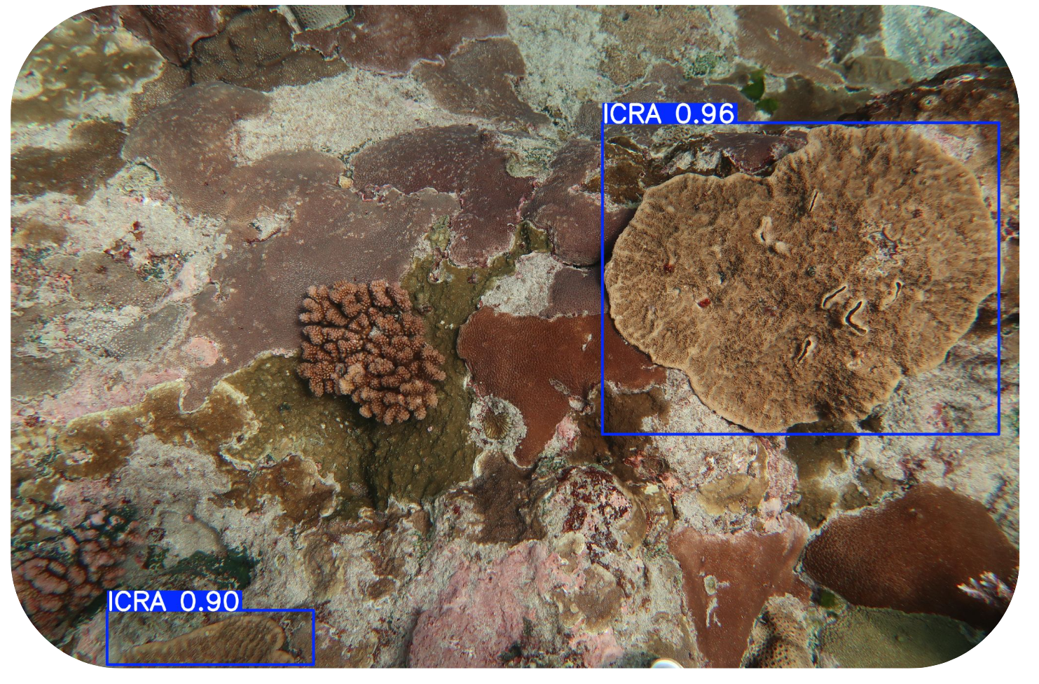 Object Detection icon